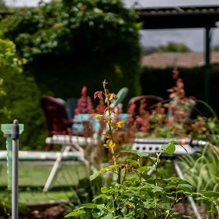 Apartment Ferienwohnung-mit-balkon Rechlin